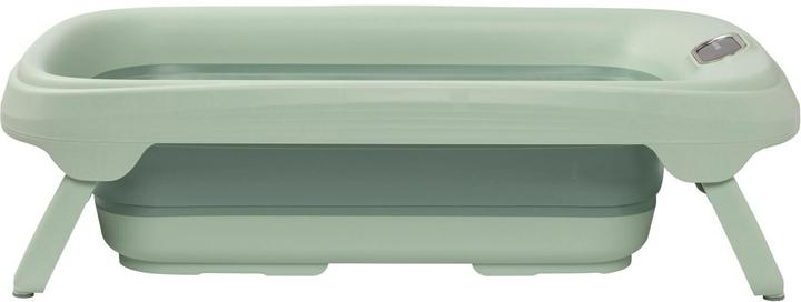 Hellgrün, Sage Green