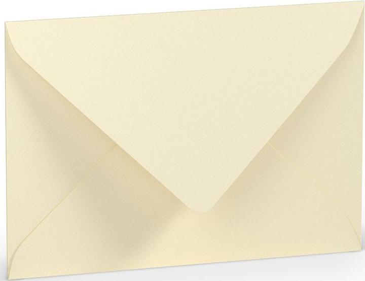 Immagine prodotto Rössler Busta C6 SF scamosciato (C6, 5 x)