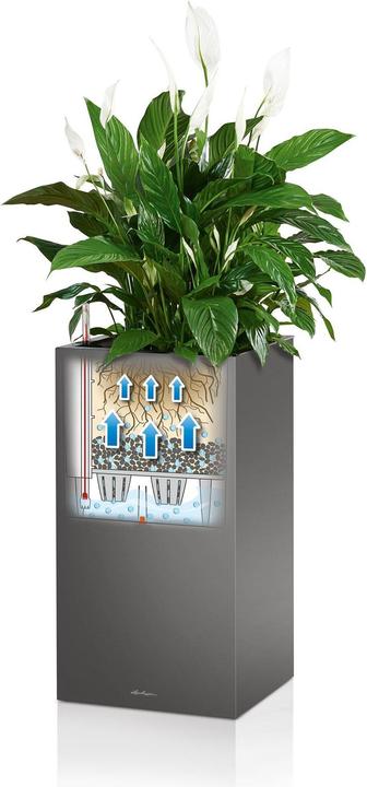 Actual product image Lechuza Planter Canto Stone 30 High (30 x 30 x 56.80 cm)