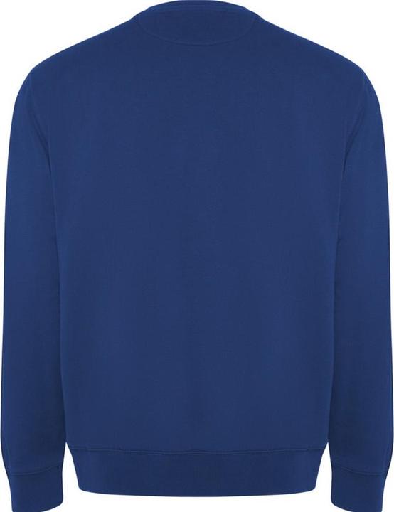 Produktbild Alpinia Batian Sweatshirt Rundhalsausschnitt (L)