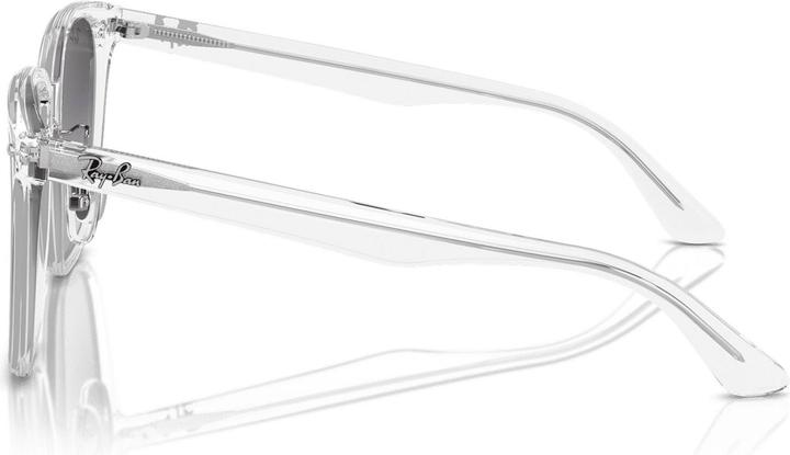 Actual product image Ray Ban RB2206D