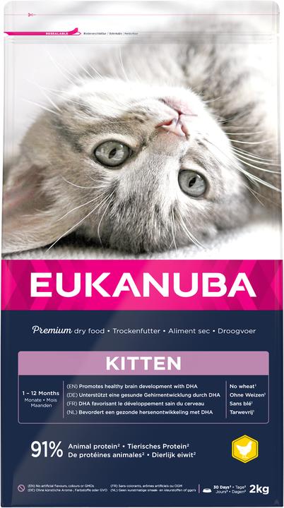 Actual product image Eukanuba Kitten Healthy Start 10kg (10000 g)