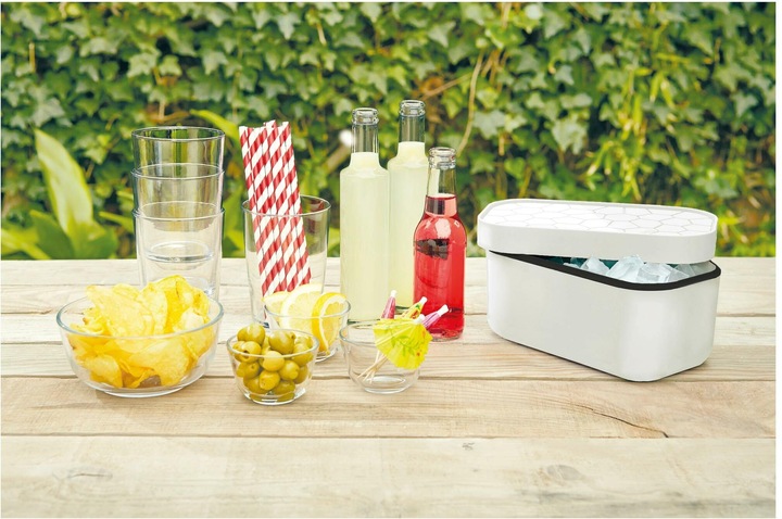 Actual product image Lékué Ice Cubes