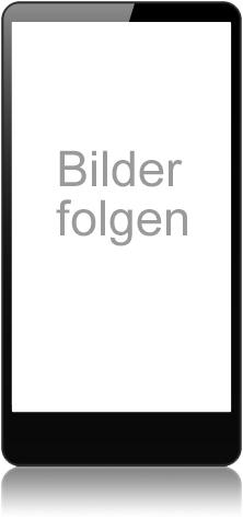 Actual product image Gigaset E560 international incl. German connection cable
