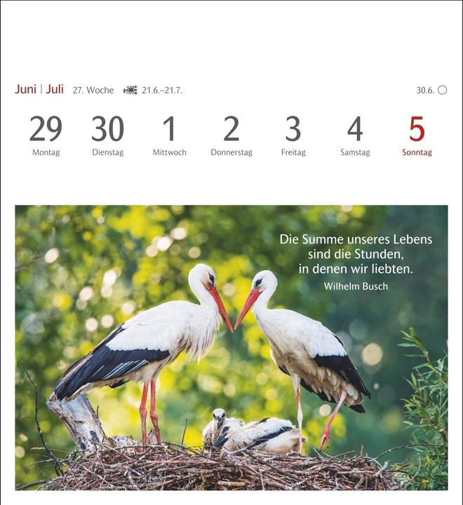 Produktbild Harenberg Momente des Glücks Postkartenkalender 2026 - Wochenkalender mit Zitaten, mit 53 Postkarte