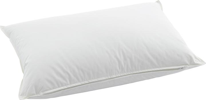 Actual product image Swiss Dream by billerbeck CLC 90 Piuma Pillow (50 x 90 cm)