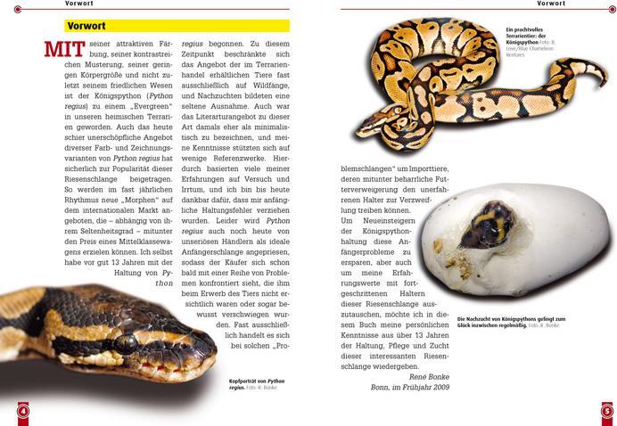 Produktbild Der Königspython (Deutsch, René Bonke, 2023)