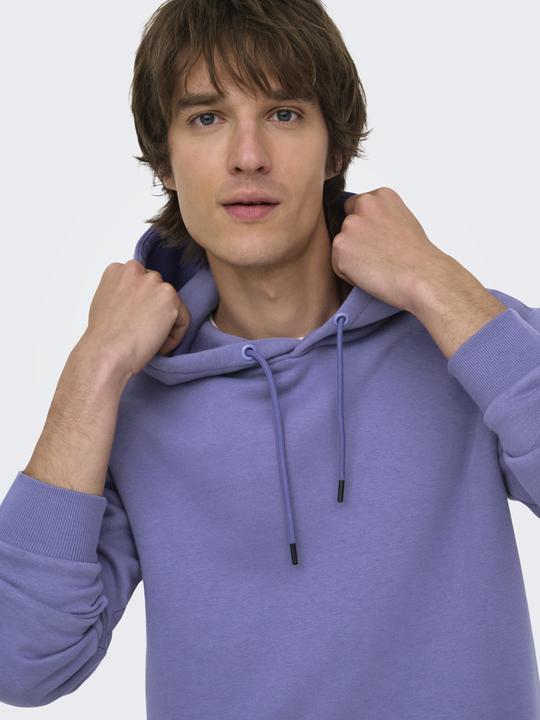Produktbild Only & Sons Onsceres Hoodie Sweat Noos (XL)