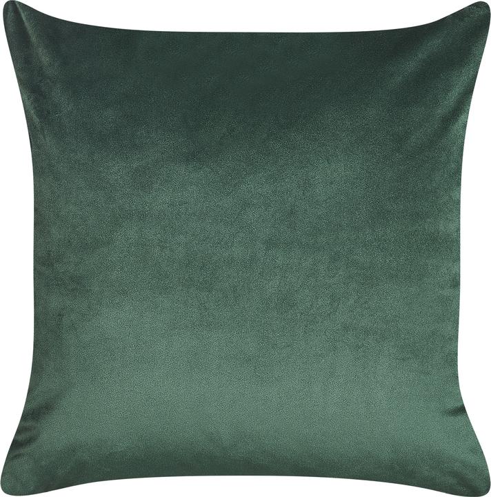 Image du produit Beliani Philodendron (45 x 45 cm)