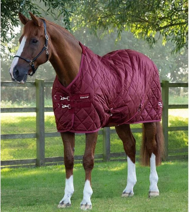 Actual product image Premier Equine Tuscan 200 g (206 cm)