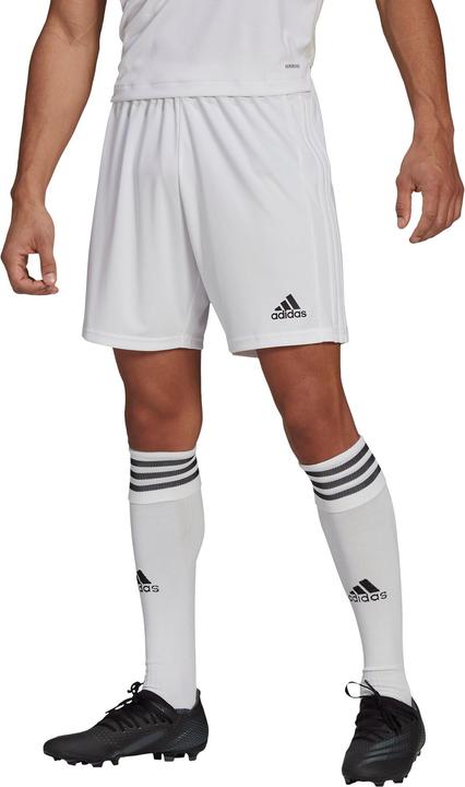 Actual product image adidas Squadra 21 Short (XL)