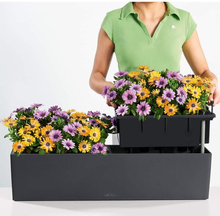 Productafbeelding Lechuza Balconera Kleur (79 x 19 x 19 cm)