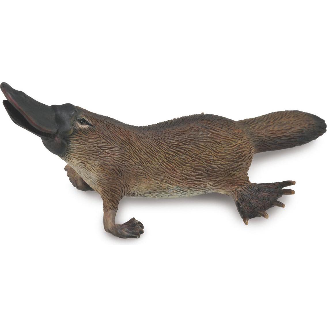 Collecta Schnabeltier