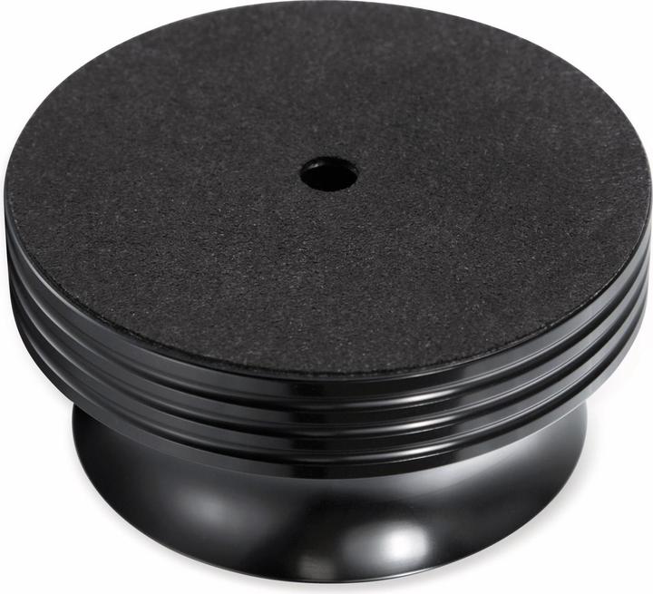 Dynavox PST420 (Panel weight)