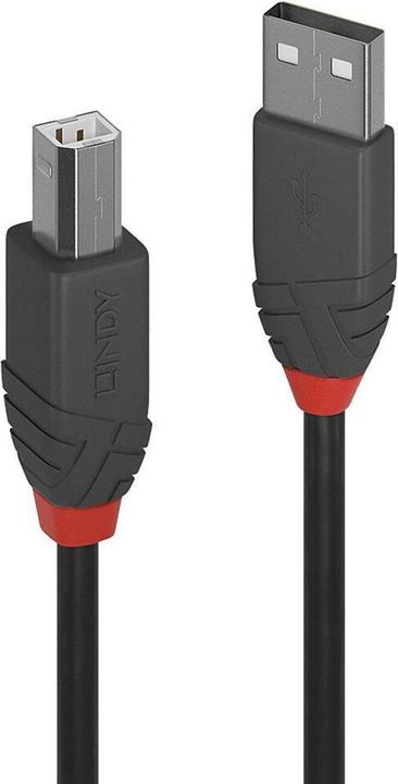 Lindy USB A — USB B (1 m, USB 2.0)