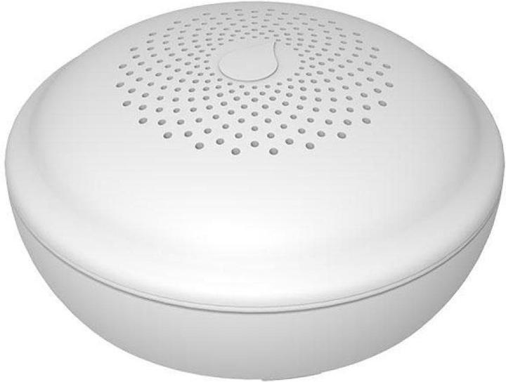 Mentrex Radio water detector