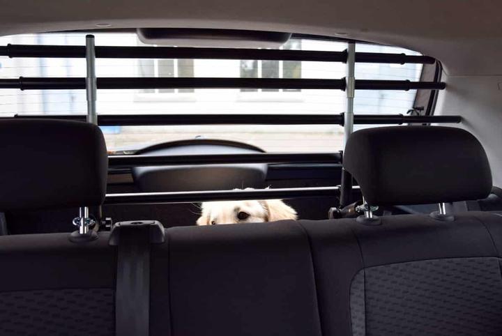 Actual product image Walky Dog Dog guard WALKY Barrier adjustable 82-141 cm (Dog, Reflectors)