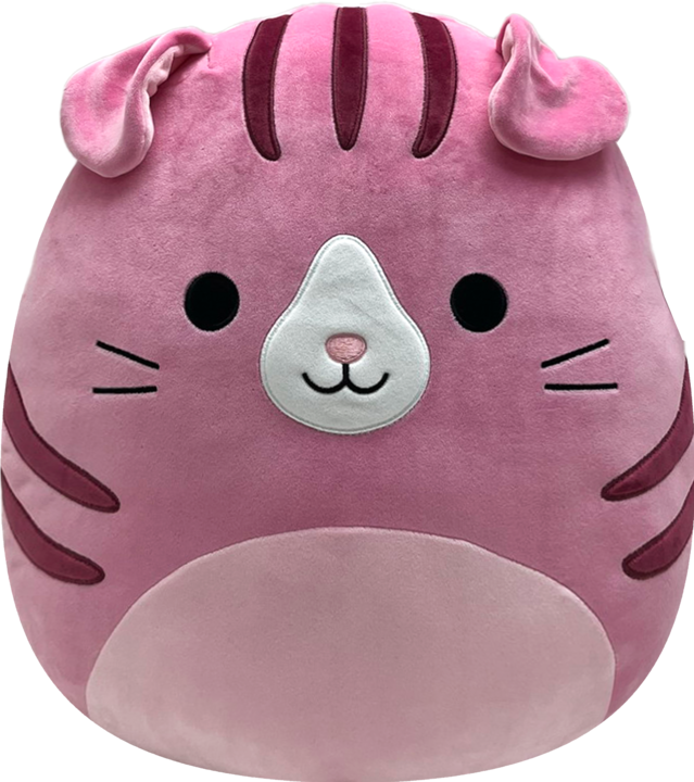 Produktbild Squishmallows Katze (40 cm)
