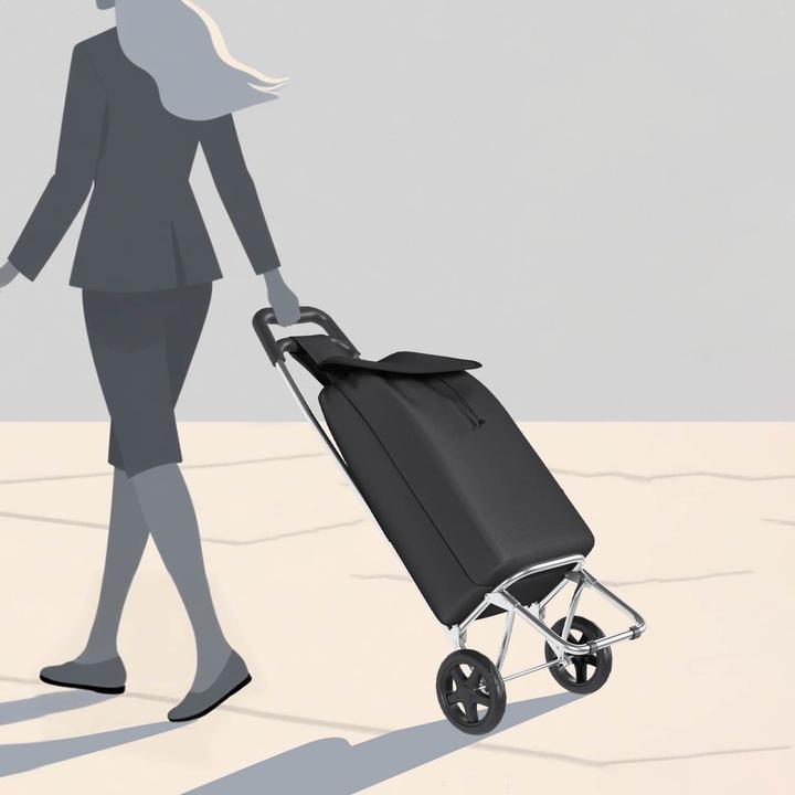 Produktbild vidaXL Einkaufswagen