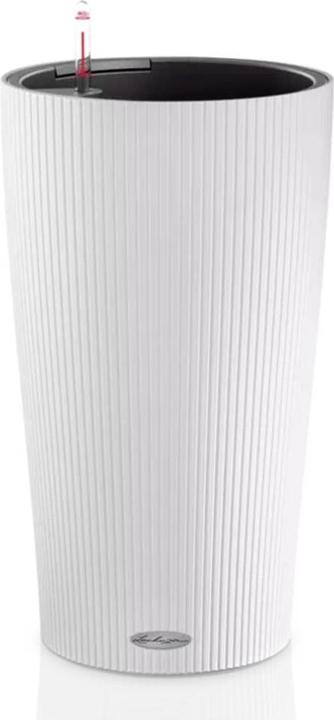 Lechuza Cilinro Color 23 (23 cm)