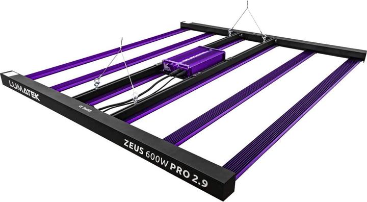 Actual product image
