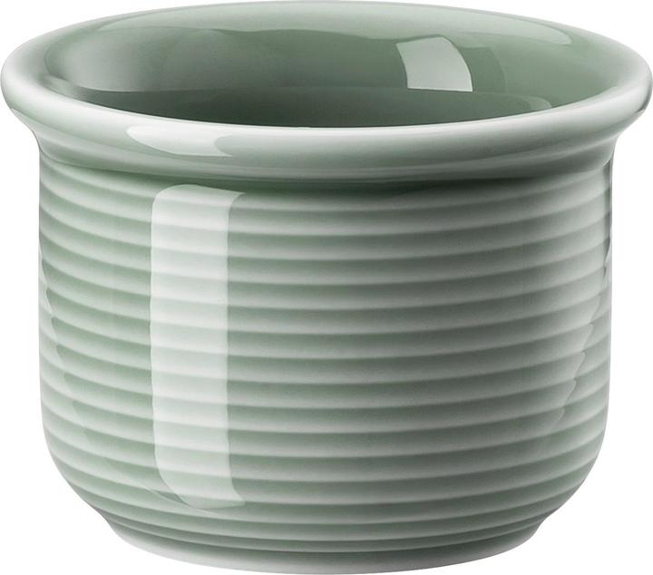 Produktbild Thomas Trend Colour (1x)