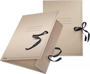 Image du produit Esselte Dossier de dessins (A1, 1x)