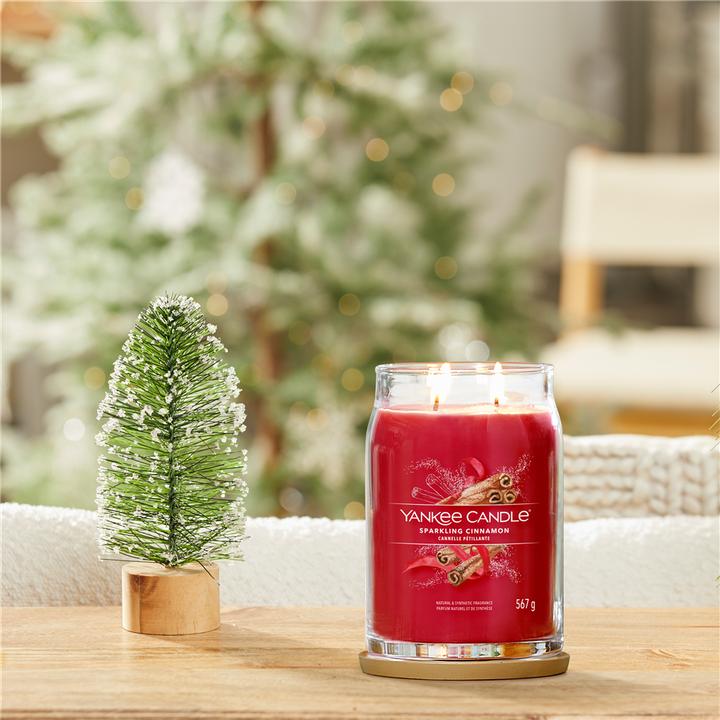 Actual product image Yankee Candle Sparkling Cinnamon (567 g)