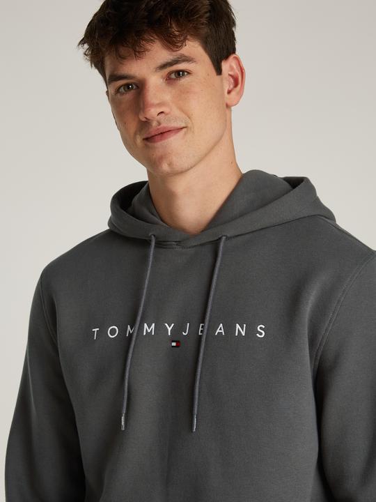 Image du produit Tommy Jeans Tjm Reg Linear Logo Hoodie Ext (L)