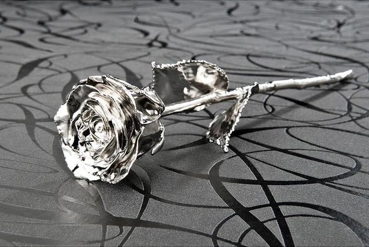 Produktbild St. Leonhard Echte Rose für immer schön: mit Platin-Veredelung, 28 cm