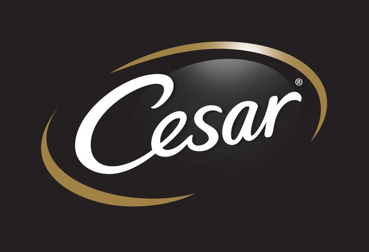 Produktbild Cesar Pouch Senior 10+ Huhn & Rind (Senior, 4 Stk., 100 g)