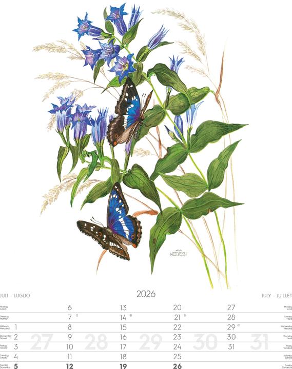 Produktbild Alpenblumen-AquarelleKalender2026