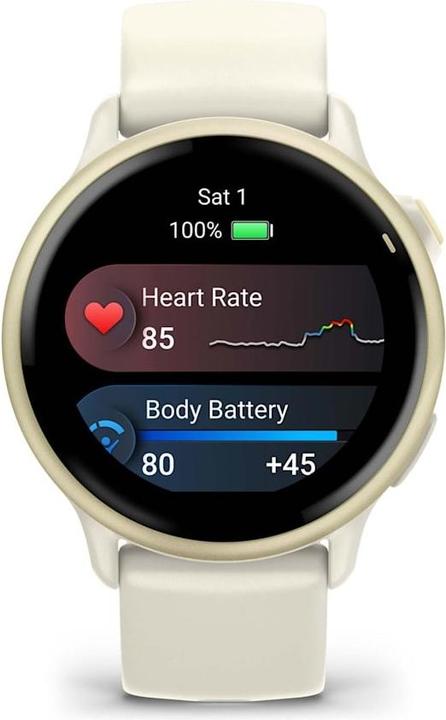 Actual product image Garmin vivoactive 6 (42.20 mm)