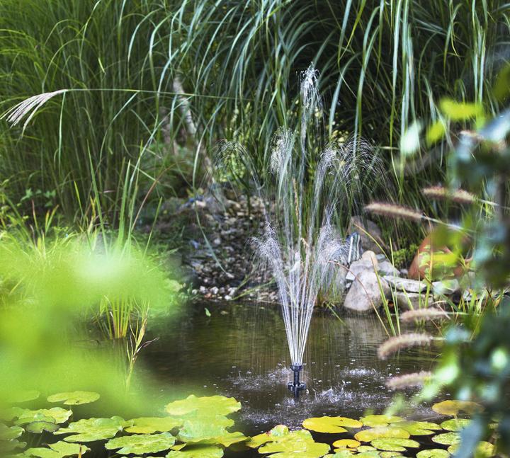 Actual product image Esotec Naples