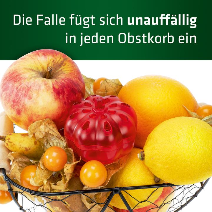 Immagine prodotto Garmin Fruchtfliegen-Falle