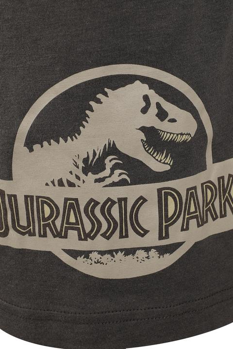 Produktbild Jurassic Park Logo (XL)