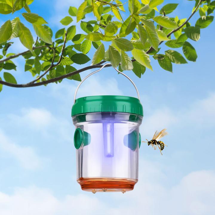 Actual product image Grundig Wasp and insect trap