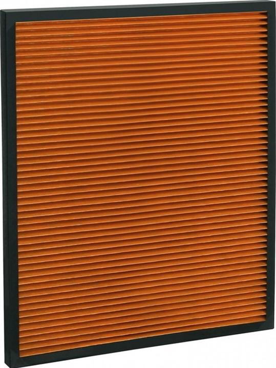 Image du produit Ideal Health Filtre purificateur d'air pour AP100 (1 x)