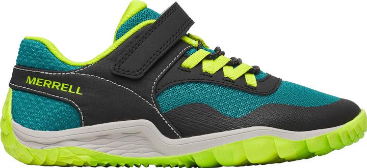 Black/Teal