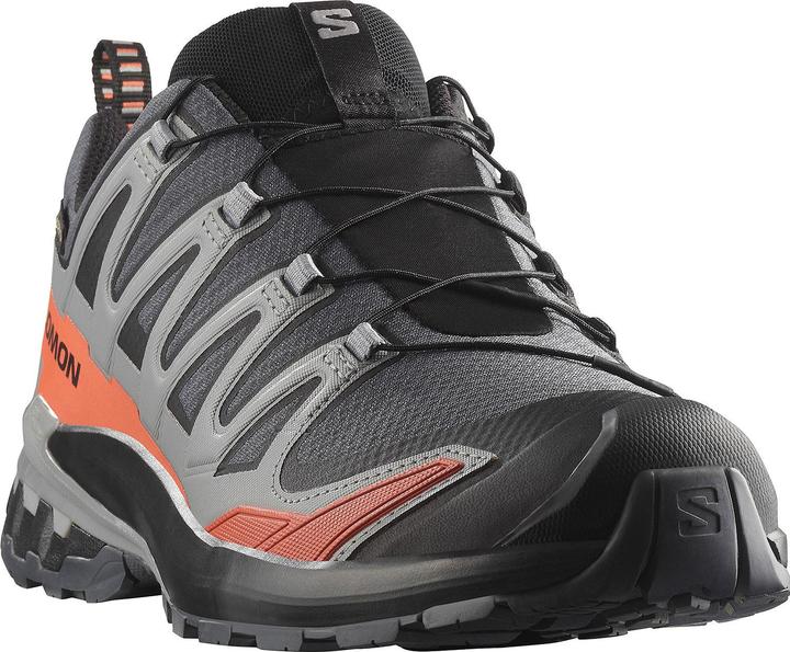 Image du produit Salomon XA Pro 3D V9 GTX (46 2/3)