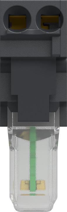 Image du produit Schneider Electric Module LED 24VAC/DC blanc