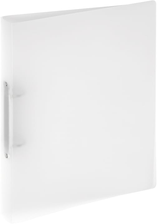 Actual product image Pagna Ring binder (A4, 33 mm, 1 x)