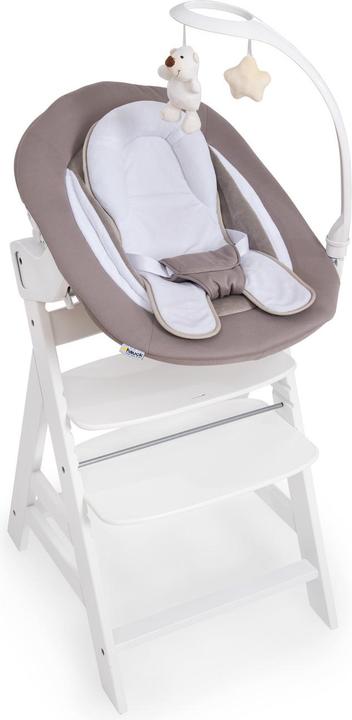 Actual product image Hauck Alpha Bouncer Deluxe