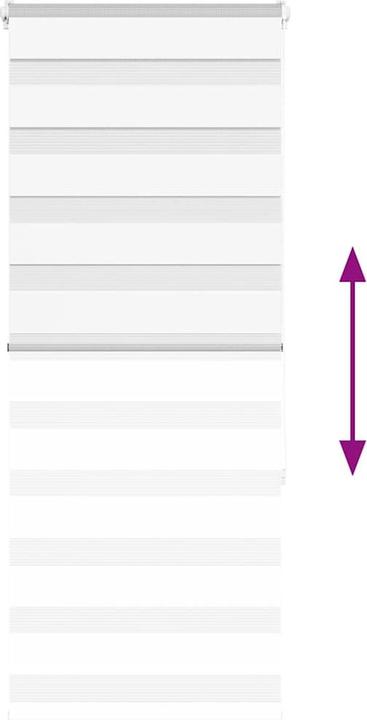 Produktbild vidaXL Zebra-Jalousie (60 x 150 cm)