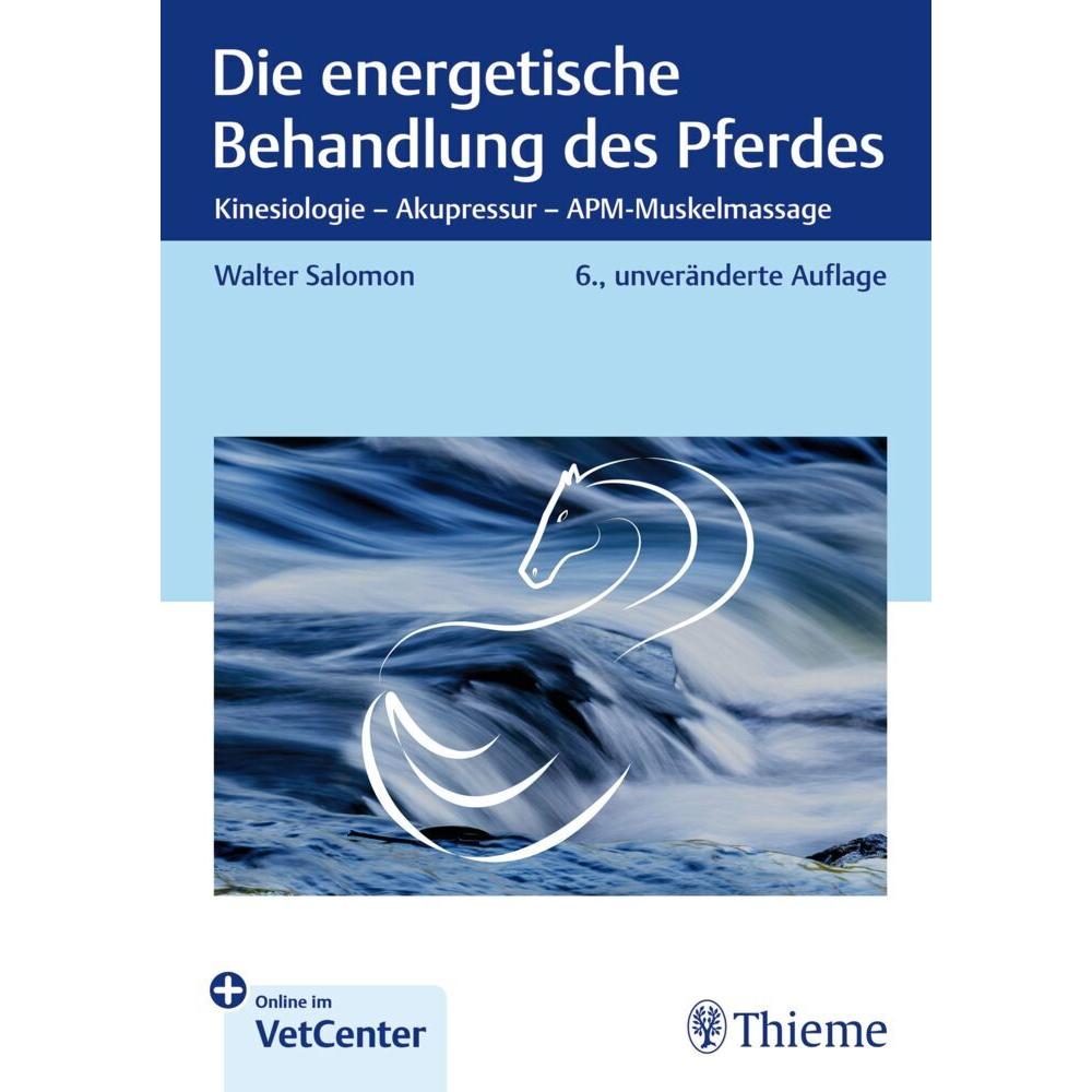 Salomon:Die energetische Behandlung des, Ratgeber von Walter Salomon