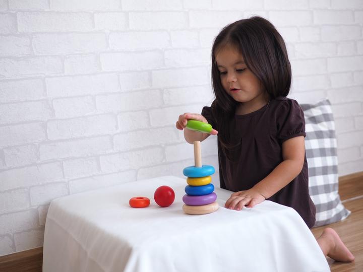 Actual product image Plantoys Sorting tower