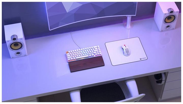 Actual product image Glorious PC Gaming Race GW-L (L)