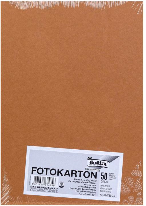 Image du produit Folia Carton photo en couleur format A4 (300 g/m², 1x)