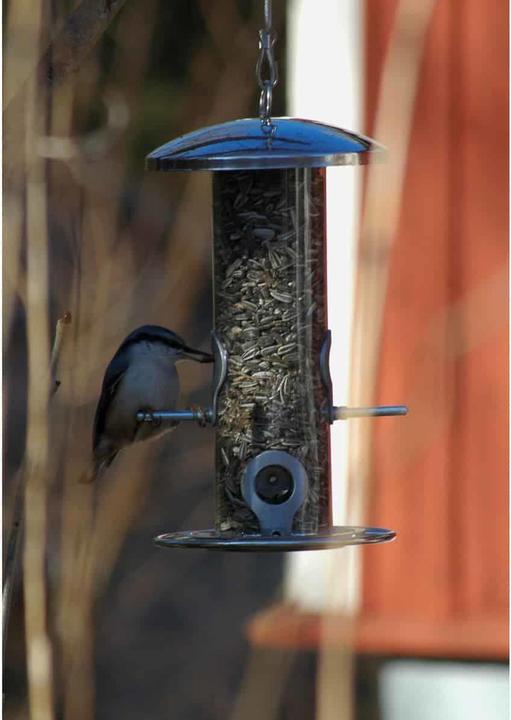 Actual product image Dobar Food dispenser