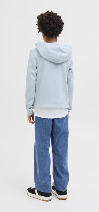 Actual product image Jack & Jones Jcologan Ss24 Print Sweat Hood Sn Jnr (176)